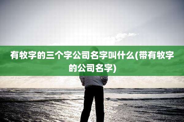 有牧字的三个字公司名字叫什么(带有牧字的公司名字)
