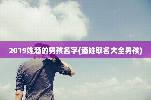 2019姓潘的男孩名字(潘姓取名大全男孩)
