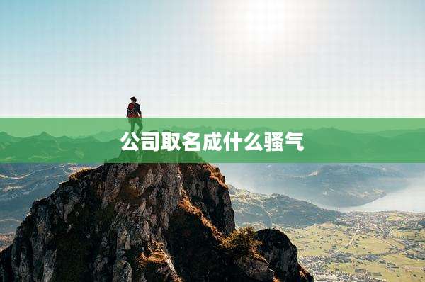 公司取名成什么骚气