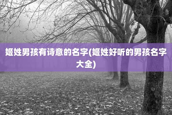 姬姓男孩有诗意的名字(姬姓好听的男孩名字大全)