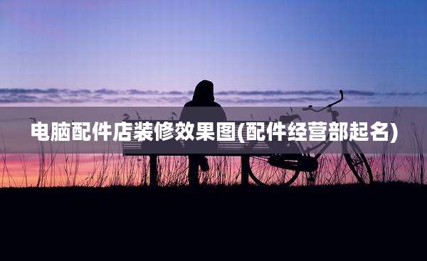 电脑配件店装修效果图(配件经营部起名)