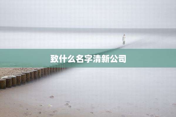 致什么名字清新公司