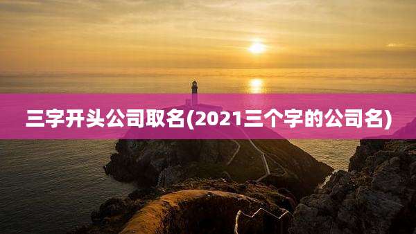 三字开头公司取名(2021三个字的公司名)