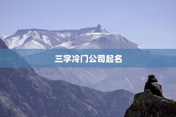 三字冷门公司起名
