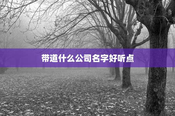 带道什么公司名字好听点