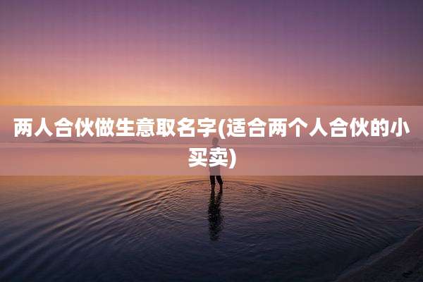 两人合伙做生意取名字(适合两个人合伙的小买卖)