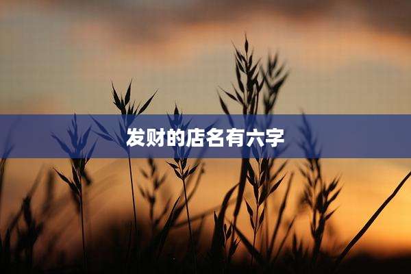 发财的店名有六字