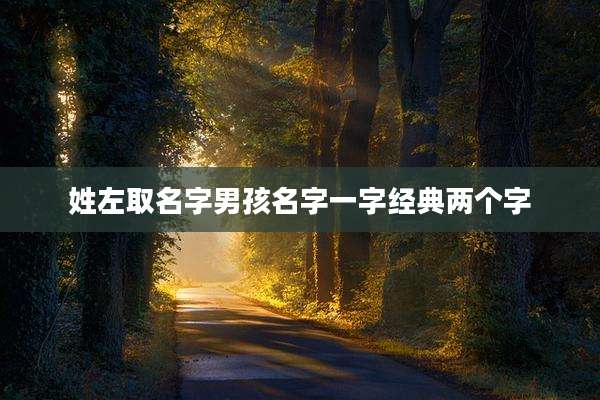 姓左取名字男孩名字一字经典两个字