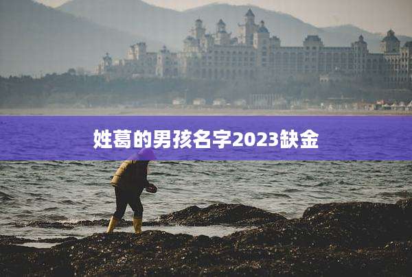姓葛的男孩名字2023缺金