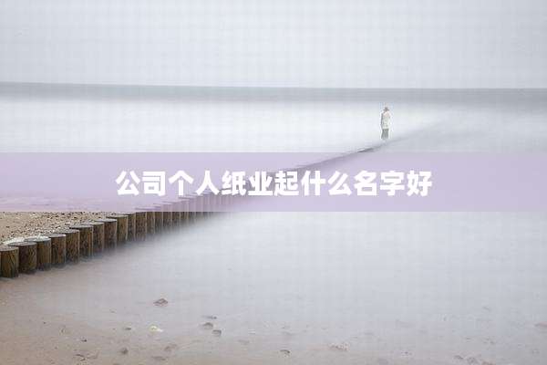 公司个人纸业起什么名字好