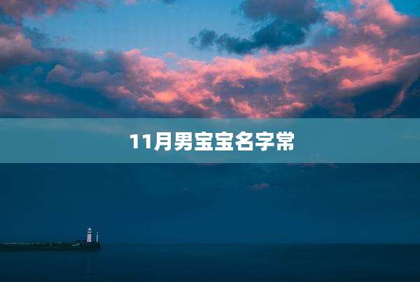 11月男宝宝名字常