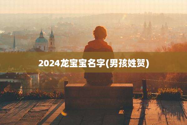 2024龙宝宝名字(男孩姓贺)