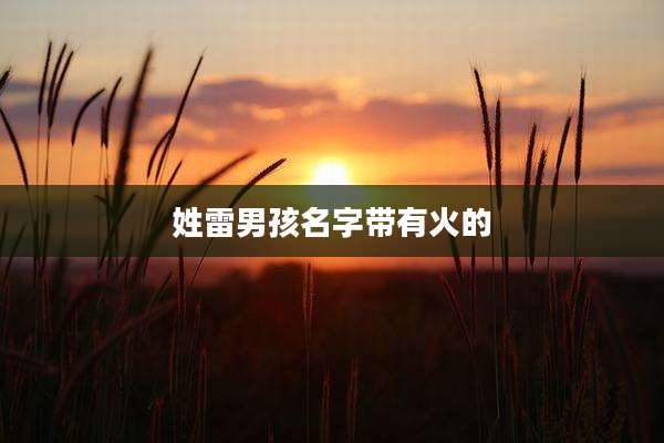 姓雷男孩名字带有火的