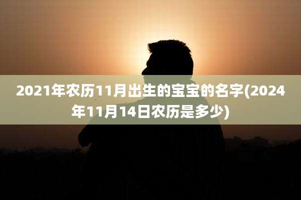 2021年农历11月出生的宝宝的名字(2024年11月14日农历是多少)