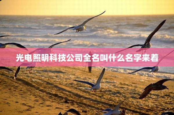 光电照明科技公司全名叫什么名字来着