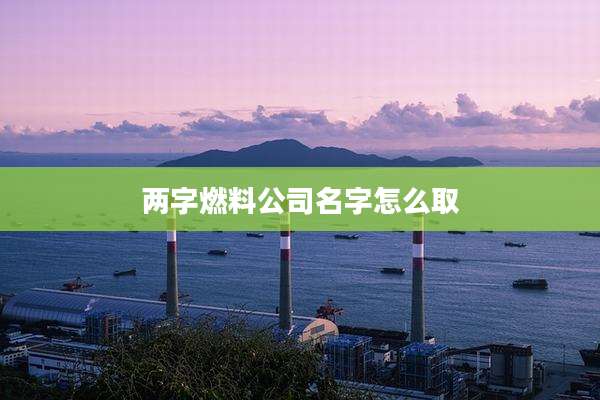 两字燃料公司名字怎么取