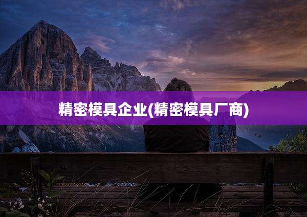 精密模具企业(精密模具厂商)
