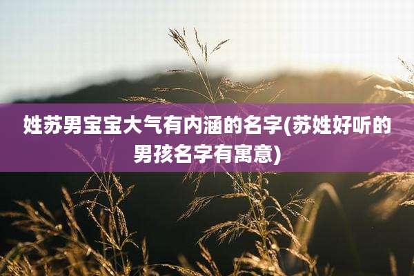姓苏男宝宝大气有内涵的名字(苏姓好听的男孩名字有寓意)