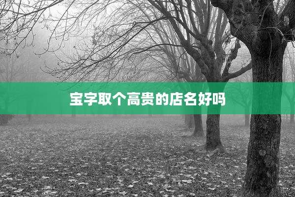 宝字取个高贵的店名好吗