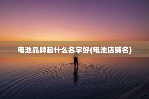 电池品牌起什么名字好(电池店铺名)