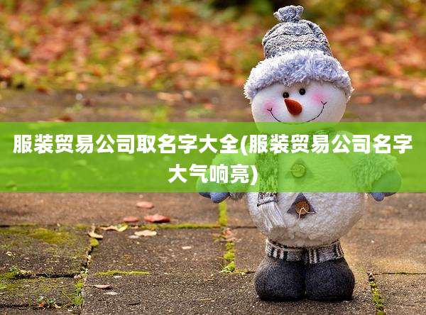 服装贸易公司取名字大全(服装贸易公司名字大气响亮)