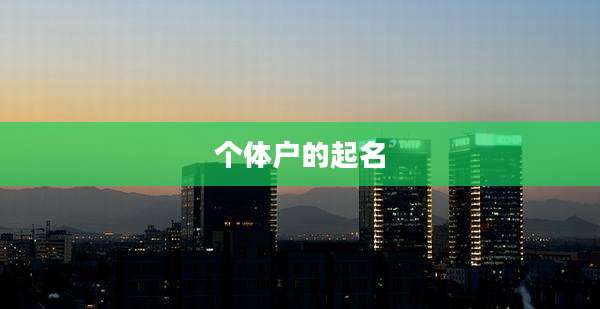 个体户的起名
