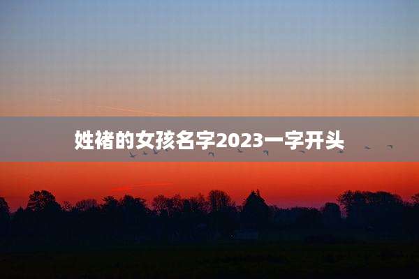 姓褚的女孩名字2023一字开头