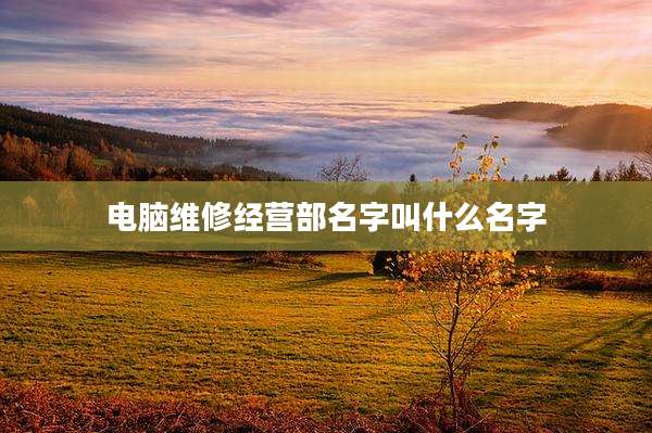 电脑维修经营部名字叫什么名字