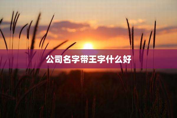 公司名字带王字什么好