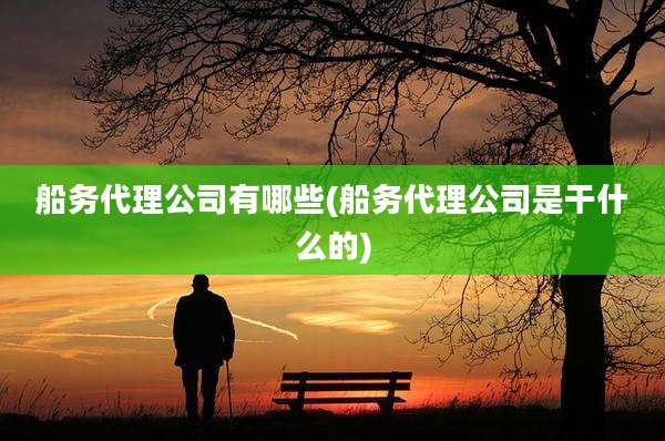 船务代理公司有哪些(船务代理公司是干什么的)