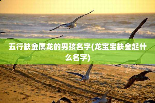 五行缺金属龙的男孩名字(龙宝宝缺金起什么名字)