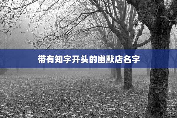 带有知字开头的幽默店名字