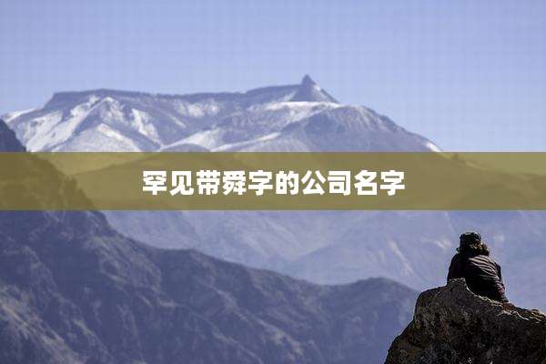罕见带舜字的公司名字