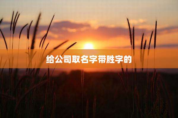 给公司取名字带胜字的