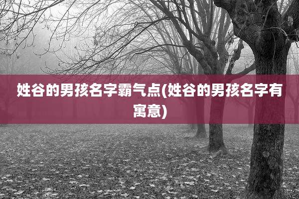 姓谷的男孩名字霸气点(姓谷的男孩名字有寓意)