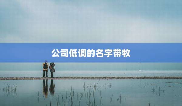 公司低调的名字带牧