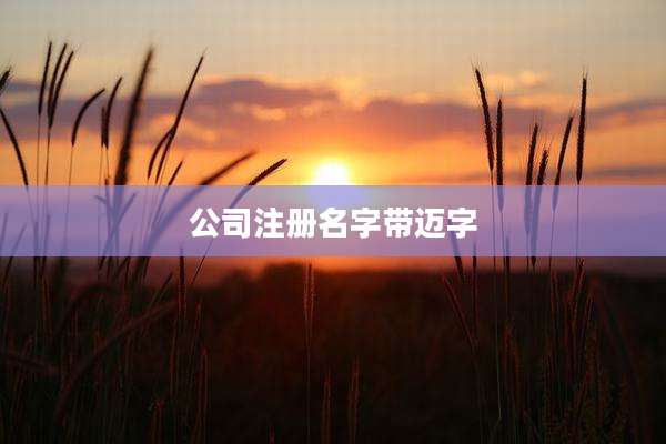 公司注册名字带迈字