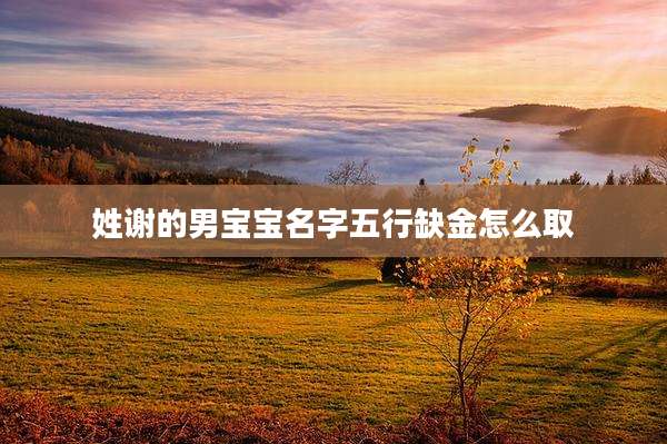 姓谢的男宝宝名字五行缺金怎么取