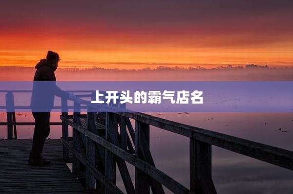 上开头的霸气店名