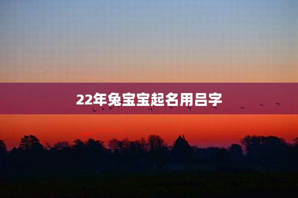 22年兔宝宝起名用吕字