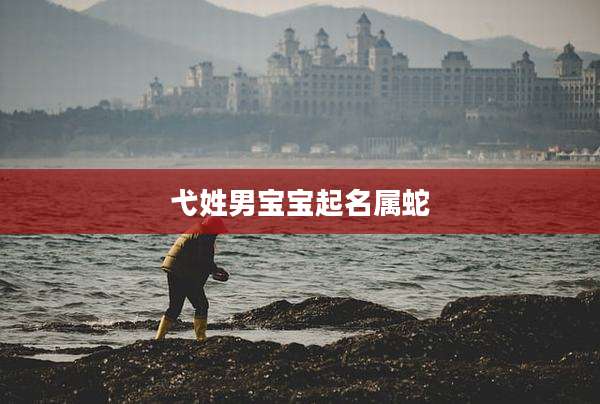 弋姓男宝宝起名属蛇