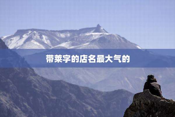 带莱字的店名最大气的