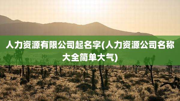 人力资源有限公司起名字(人力资源公司名称大全简单大气)