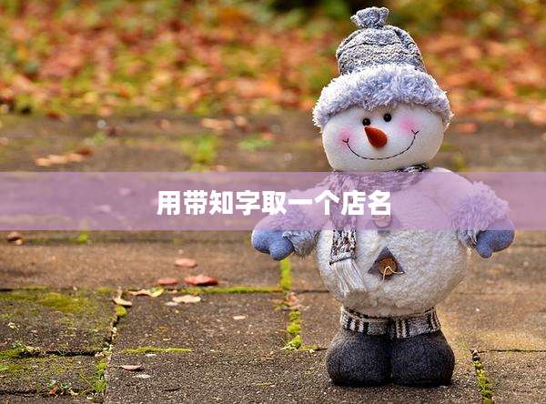 用带知字取一个店名