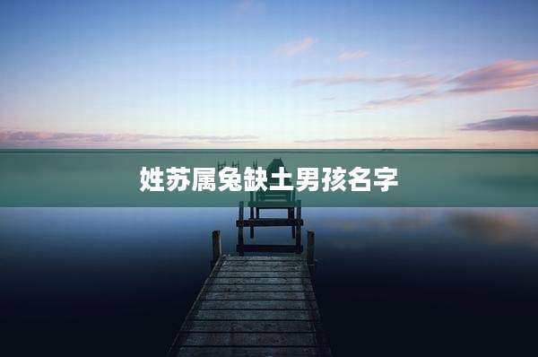 姓苏属兔缺土男孩名字