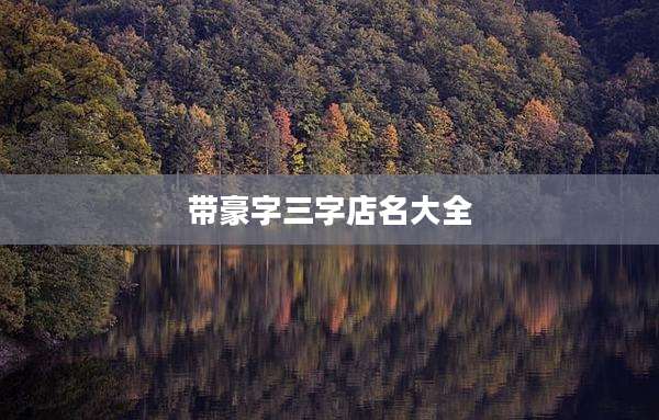 带豪字三字店名大全