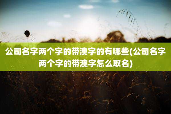 公司名字两个字的带澳字的有哪些(公司名字两个字的带澳字怎么取名)