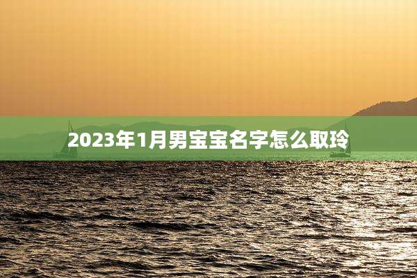 2023年1月男宝宝名字怎么取玲