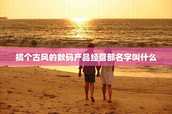 搞个古风的数码产品经营部名字叫什么