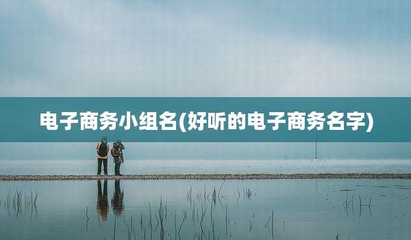 电子商务小组名(好听的电子商务名字)